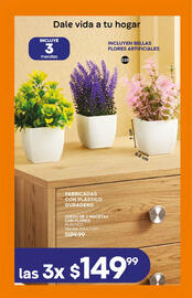 Catálogo Fuller Página 170