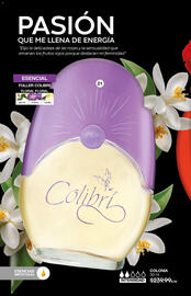 Catálogo Fuller Página 18