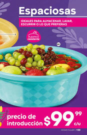 Catálogo Fuller Página 199