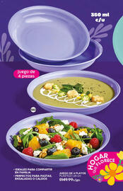 Catálogo Fuller Página 202