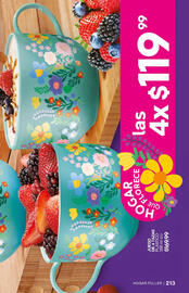 Catálogo Fuller Página 213