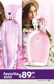 Catálogo Fuller Página 29