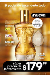 Catálogo Fuller Página 3