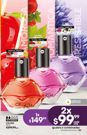 Catálogo Fuller Página 31