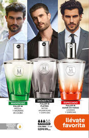 Catálogo Fuller Página 38