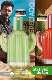 Catálogo Fuller Página 42