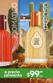 Catálogo Fuller Página 43