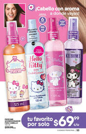 Catálogo Fuller Página 53