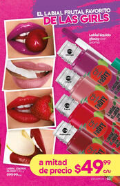 Catálogo Fuller Página 63