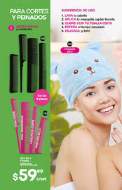 Catálogo Fuller Página 66