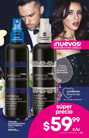 Catálogo Fuller Página 79