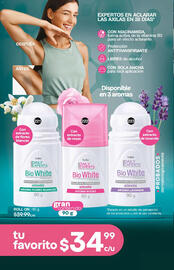 Catálogo Fuller Página 80