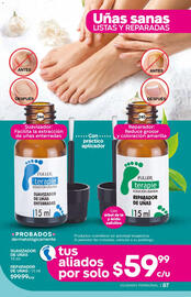 Catálogo Fuller Página 87