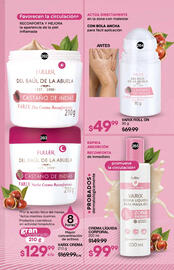 Catálogo Fuller Página 96