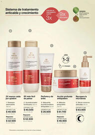 Catálogo Natura Página 124