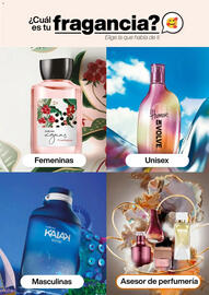 Catálogo Natura Página 16