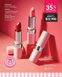 Catálogo Avon Página 17