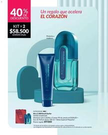 Catálogo Avon Página 42