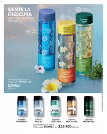 Catálogo Avon Página 100