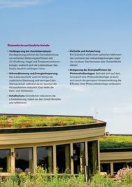 Lagerhaus Flugblatt Seite 51