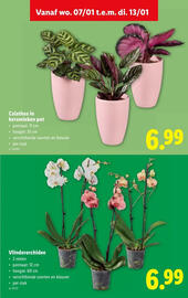 Lidl folder week 2 Pagina 38