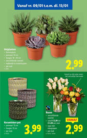 Lidl folder week 2 Pagina 61