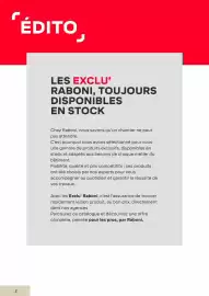 Catalogue Raboni page 2
