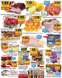 Starsky flyer week 1 Page 2