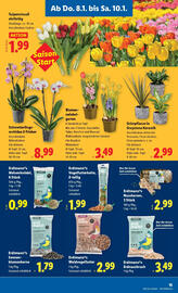 Lidl Flugblatt woche 2 Seite 17