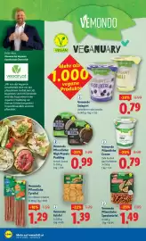 Lidl Flugblatt woche 2 Seite 16