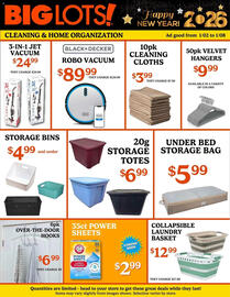 Big Lots weekly ad week 1 Page 2