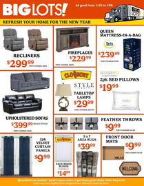 Big Lots weekly ad week 1 Page 3