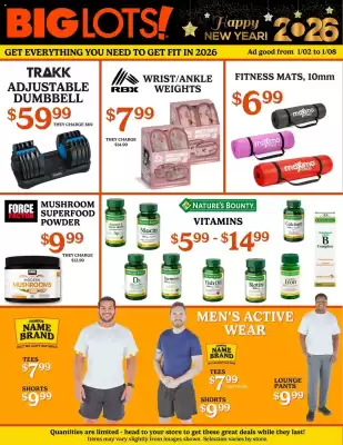 Big Lots weekly ad (valid until 9-01)