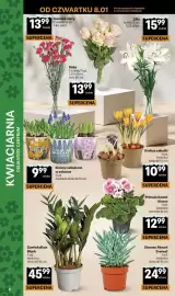 Delikatesy Centrum gazetka tydzień 2 Strona 8