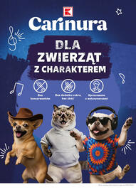 Kaufland gazetka Strona 22