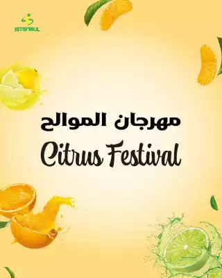 Istanbul Supermarket catalogue (valid until 7-01)