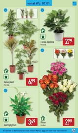 ALDI folder week 2 Pagina 33