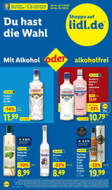 Lidl Prospekt Seite 54