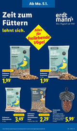 Lidl Prospekt Seite 59
