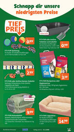 Fressnapf Prospekt Seite 13