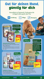 Fressnapf Prospekt Seite 17