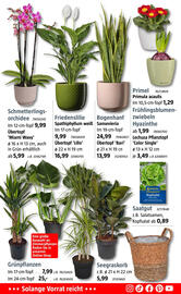 Bauhaus Prospekt Seite 11