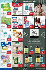 Budni Prospekt woche 3 Seite 5