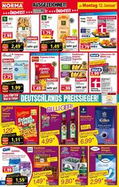 Norma Prospekt woche 3 Seite 10