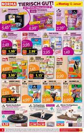 Norma Prospekt woche 3 Seite 6