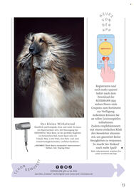Rossmann Magazin Seite 13