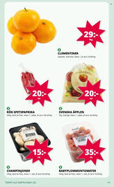 Tempo reklamblad vecka 2 Sida 3