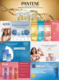 Encarte Bistek Supermercados Página 3