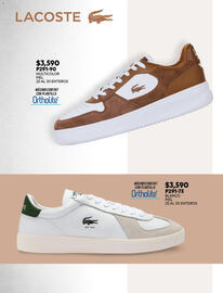 Catálogo Cklass Página 217