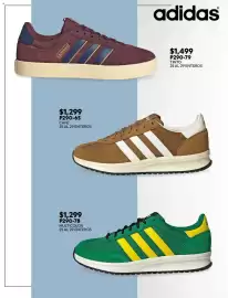 Catálogo Cklass Página 216